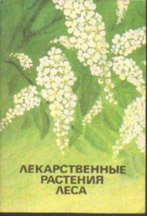 Лекарственные растения леса