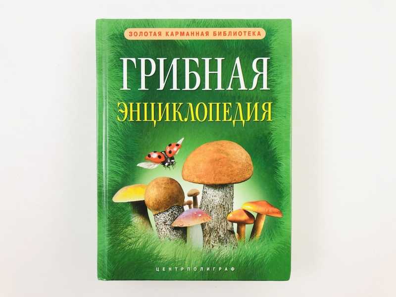 Купить Большой Справочник Грибов В Интернет Магазине