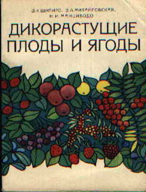 Дикорастущие плоды и ягоды