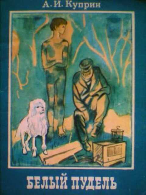 Белый пудель
