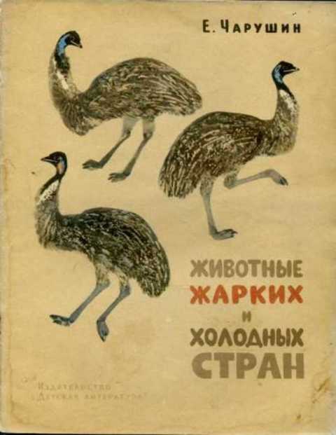 Животные жарких и холодных стран