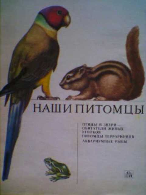 Наши питомцы