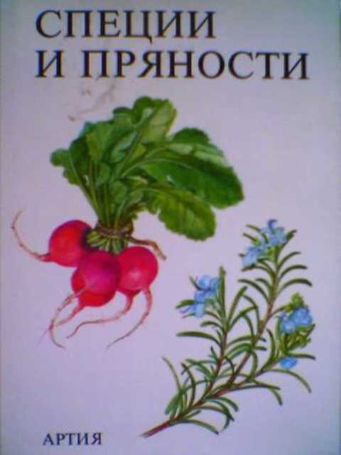 Специи и пряности