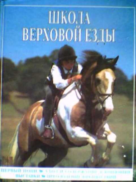 Школа верховой езды. Первый пони