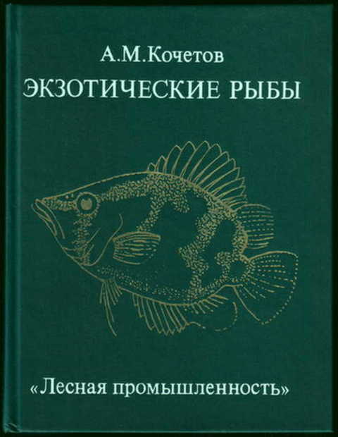 Экзотические рыбы