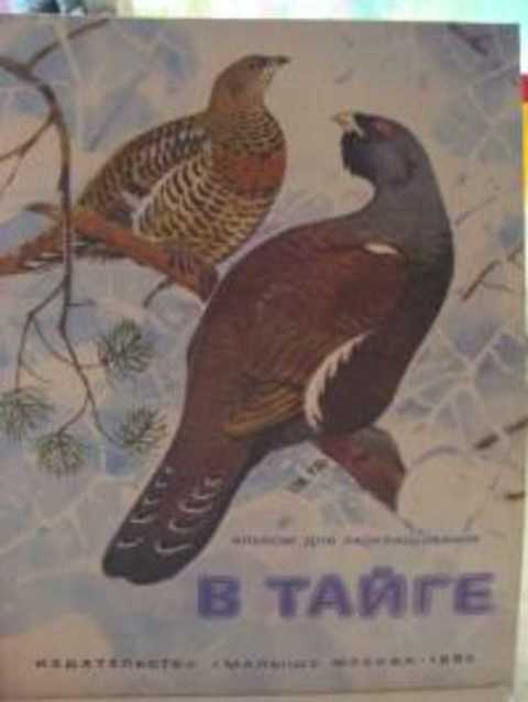 В тайге. Альбом для раскрашивания