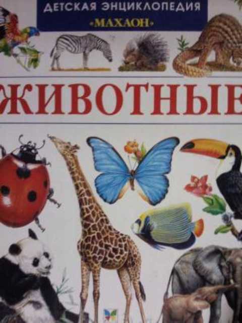 Животные