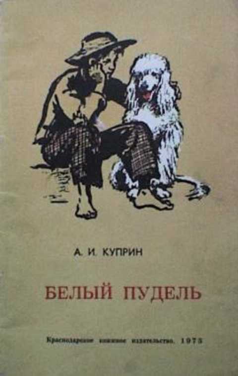 Белый пудель