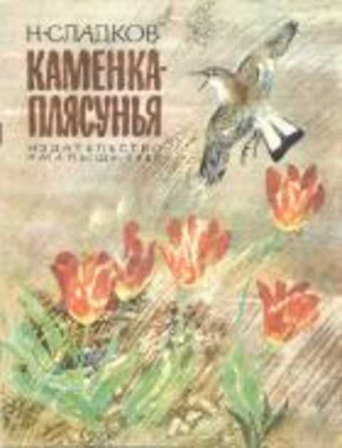 Каменка-плясунья