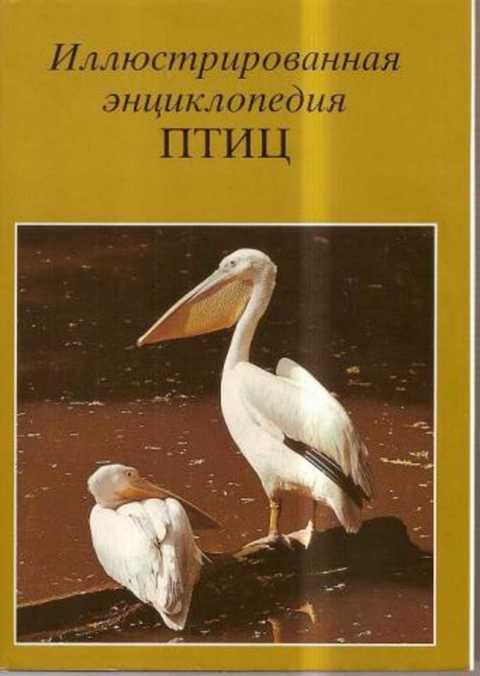 Иллюстрированная энциклопедия птиц