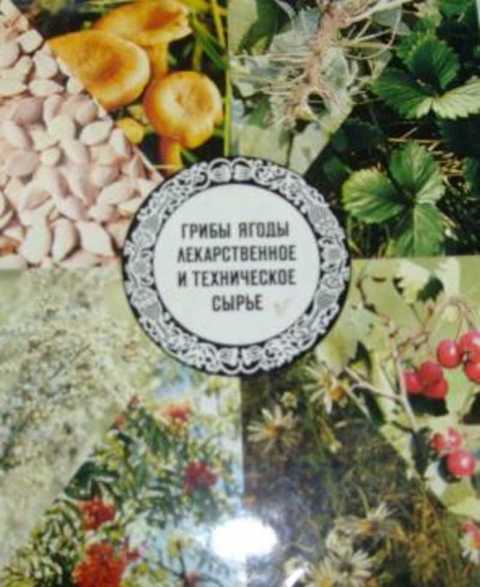 Грибы, ягоды, лекарственное и техническое сырье