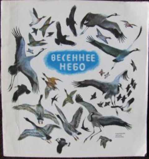 Весеннее небо