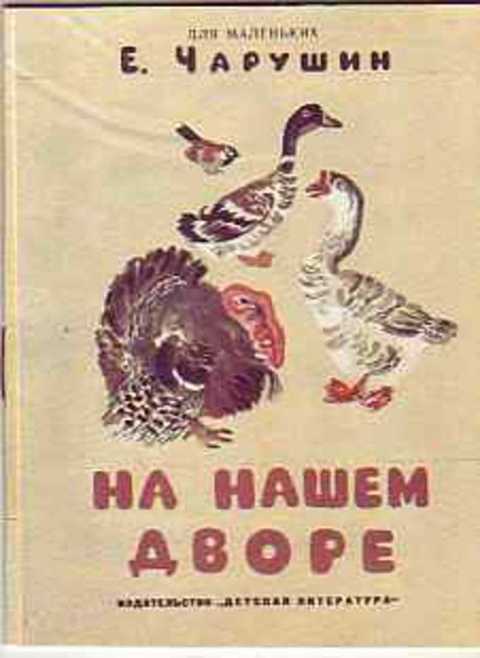 На нашем дворе