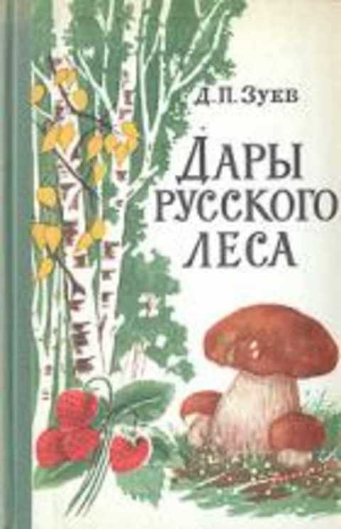 Дары русского леса