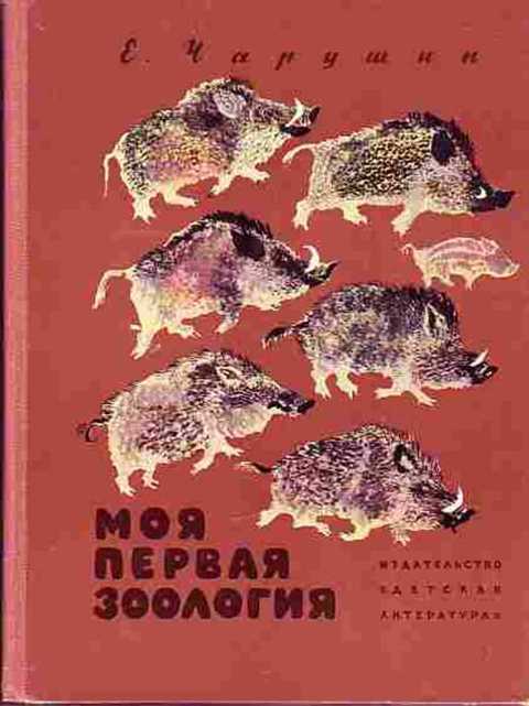 Моя первая зоология
