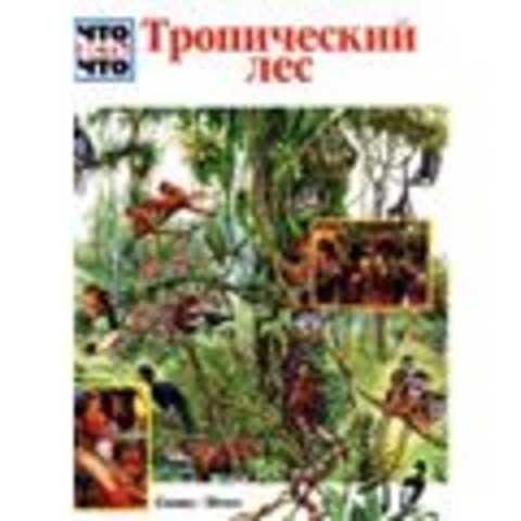 Тропический лес