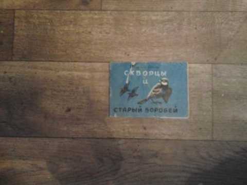 Скворцы и старый воробей