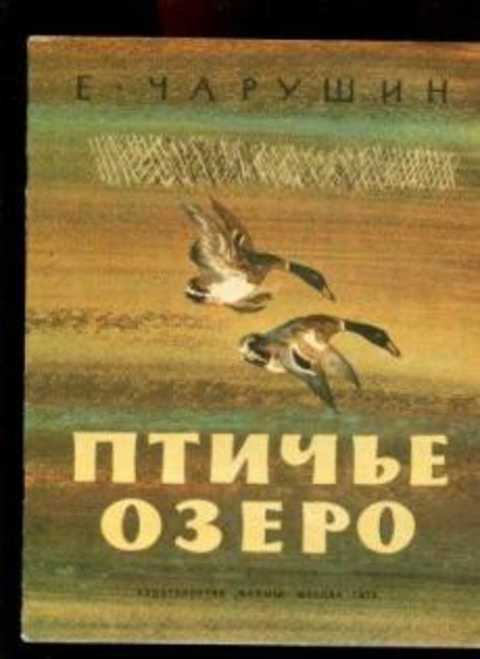 Птичье озеро