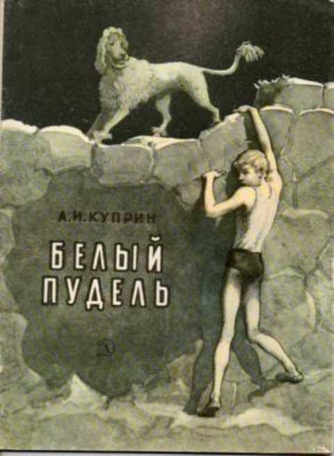 Белый пудель