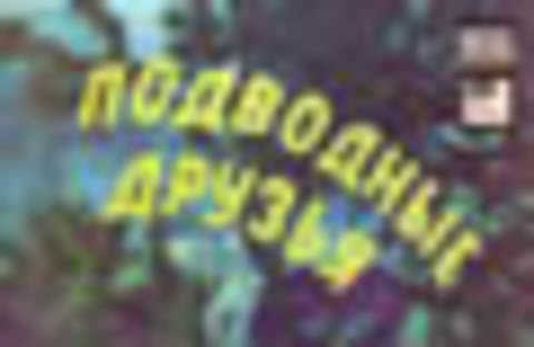 Подводные друзья