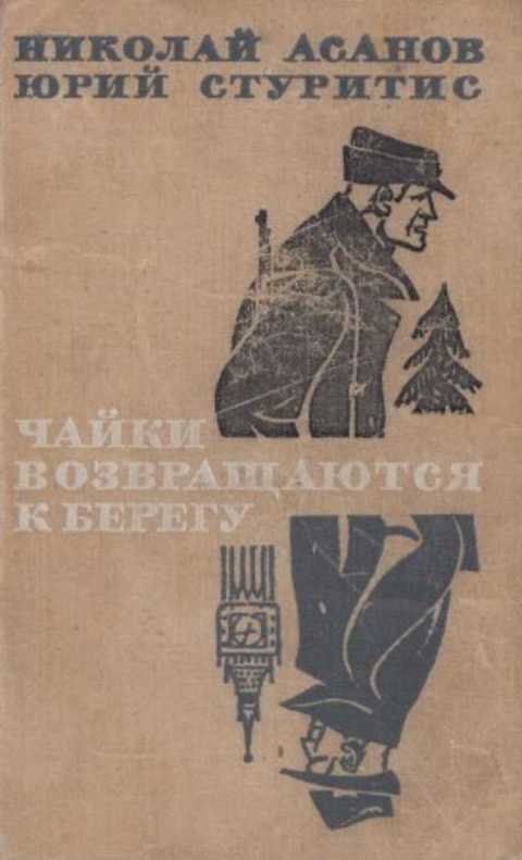 Чайки возвращаются к берегу