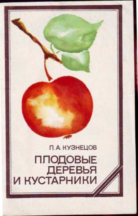 Плодовые деревья и кустарники