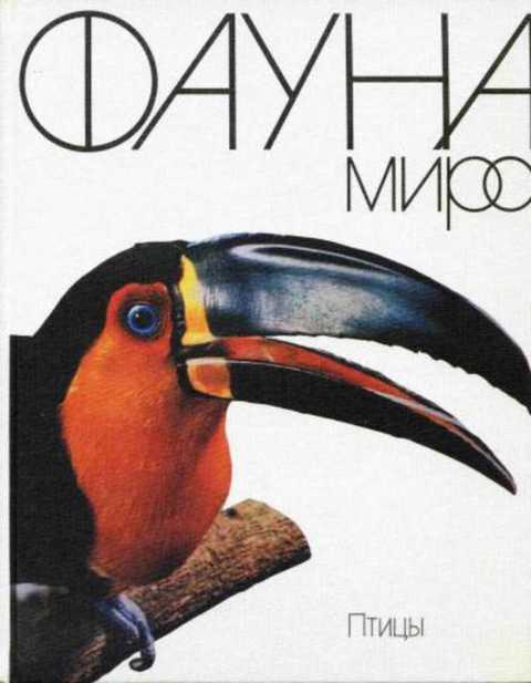 Фауна мира. Птицы