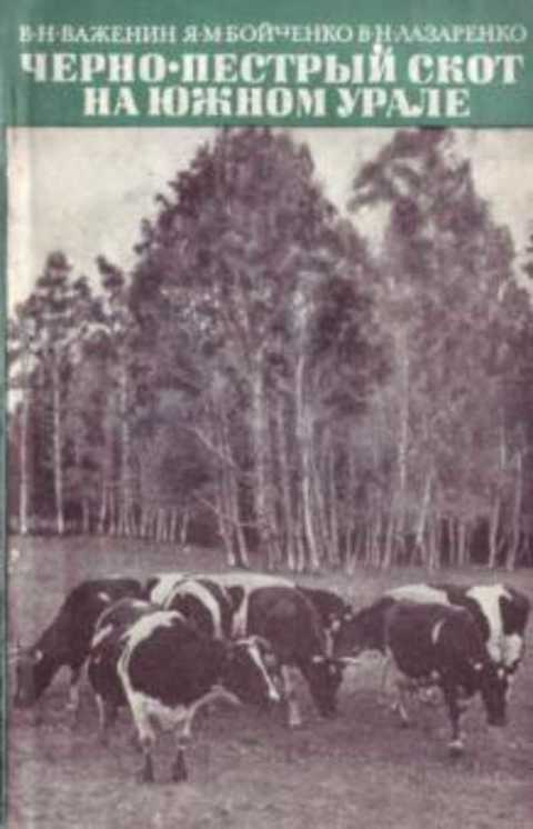 Черно-пестрый скот на Южном Урале