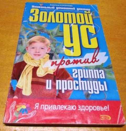 Золотой ус против гриппа и простуды