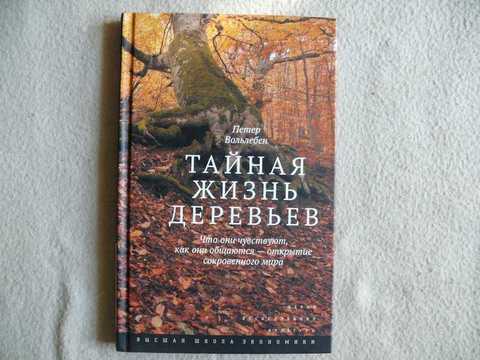 дерево жизни эскиз. дерево жизни книга. древо познания. мудрое дерево. дерево с книгами.