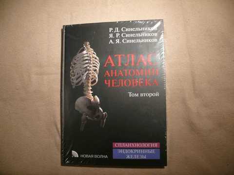 Атлас синельникова анатомия 2 том. Синельников 2 том. Синельников атлас 2 том. Синельников анатомия 2 том. Синельников атлас анатомии человека том i обложка.