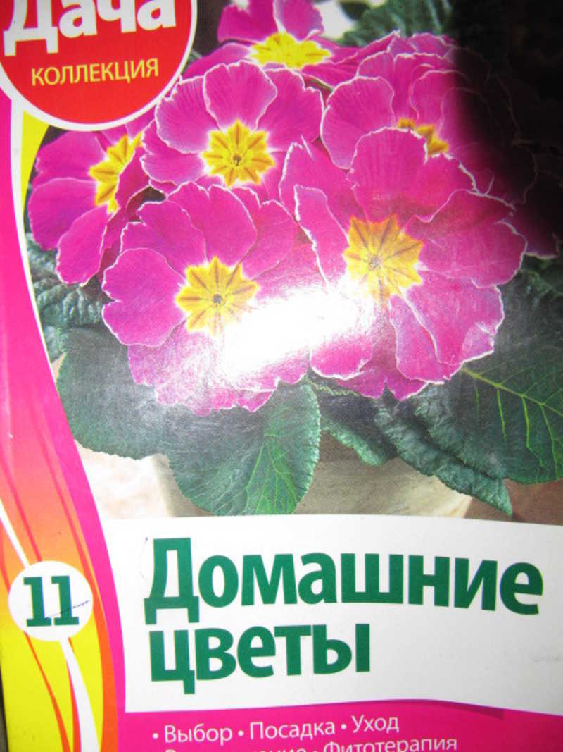 Домашние цветы