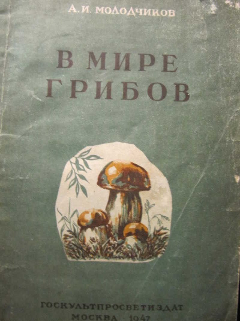 В мире грибов