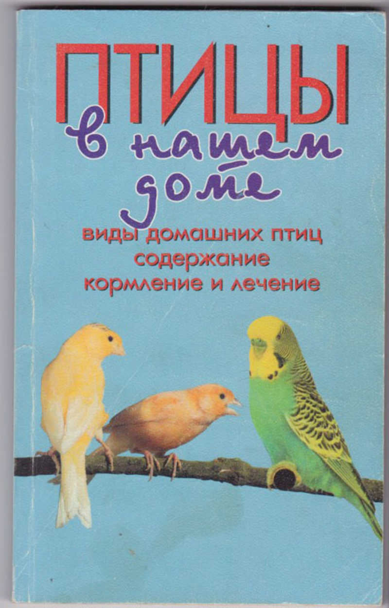 Содержание птиц книги. Содержание птиц. Содержание птиц книга. Обложка домашняя птица. Птицы книга с попугаем на обложке.