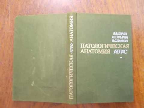 Кузнецов е п патологическая анатомия в ультразвуковом изображении
