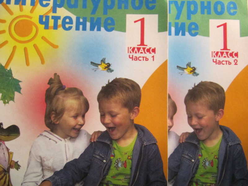 Литературное чтение. 1 класс. В 2 частях