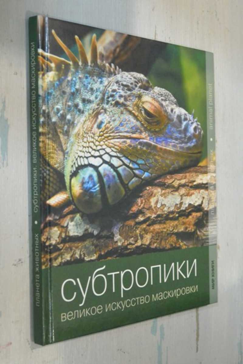 Субтропики. Великое искусство маскировки