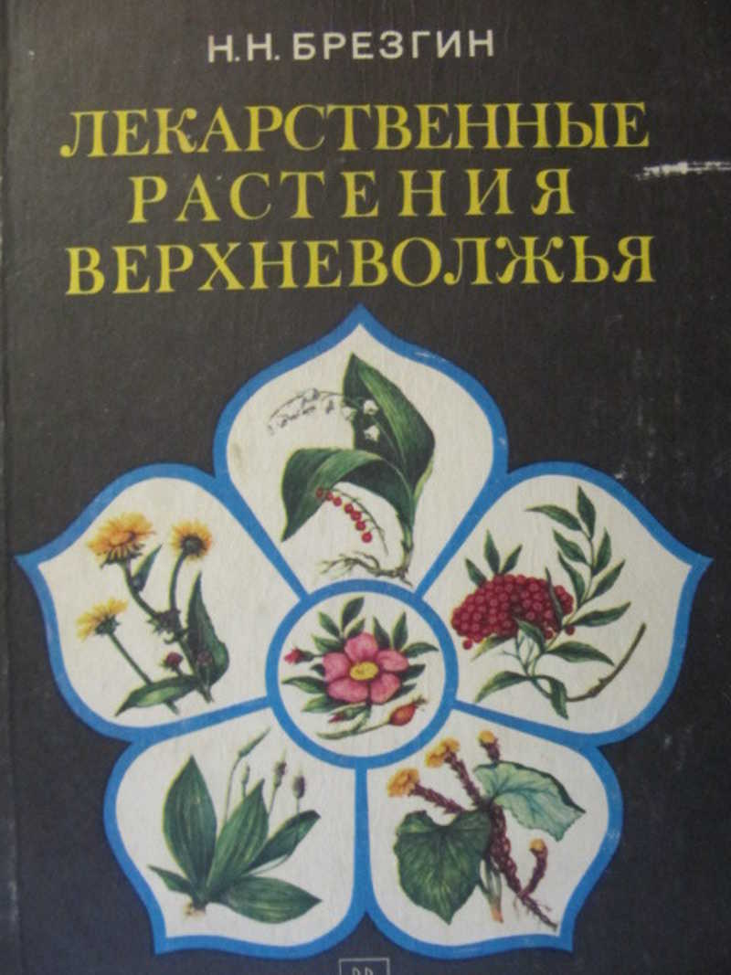 Лекарственные растения Верхневолжья