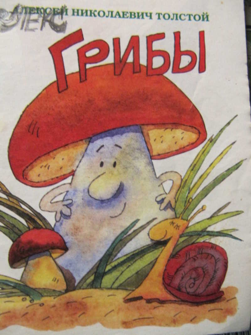 Грибы