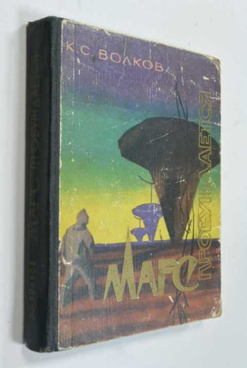 Комната на марсе книга