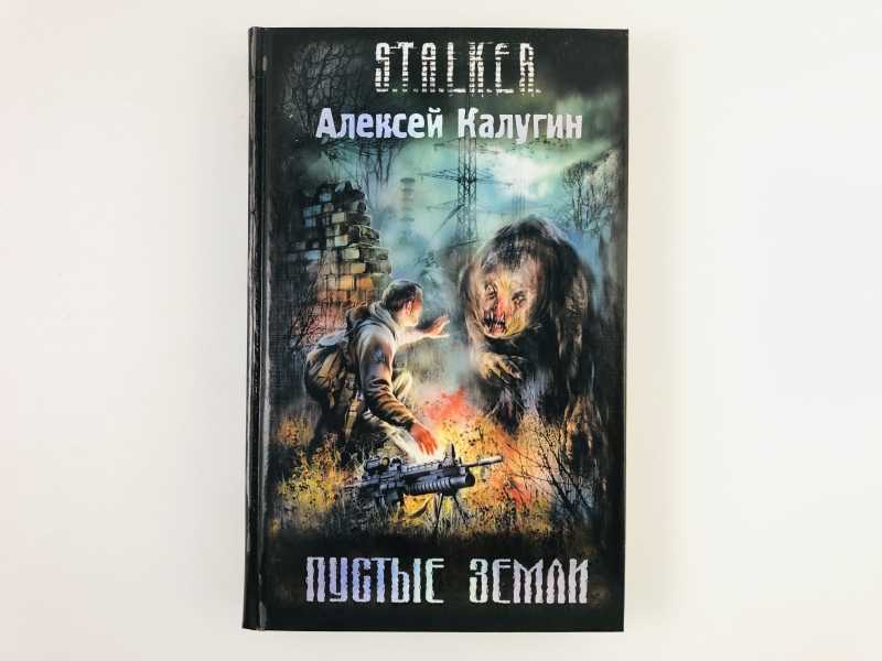 Пустые земли. Сталкер пустые земли. Калугин пустые земли. Книга сталкер пустые земли. Пустая земля.