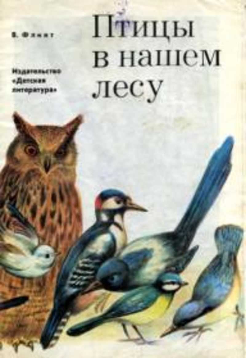 В каких произведениях есть птицы. Rybub j gnbwf[ lkz ltntq. Книги о птицах для детей. Книги о птицах Художественные. Книги о птивах дл, дошк.