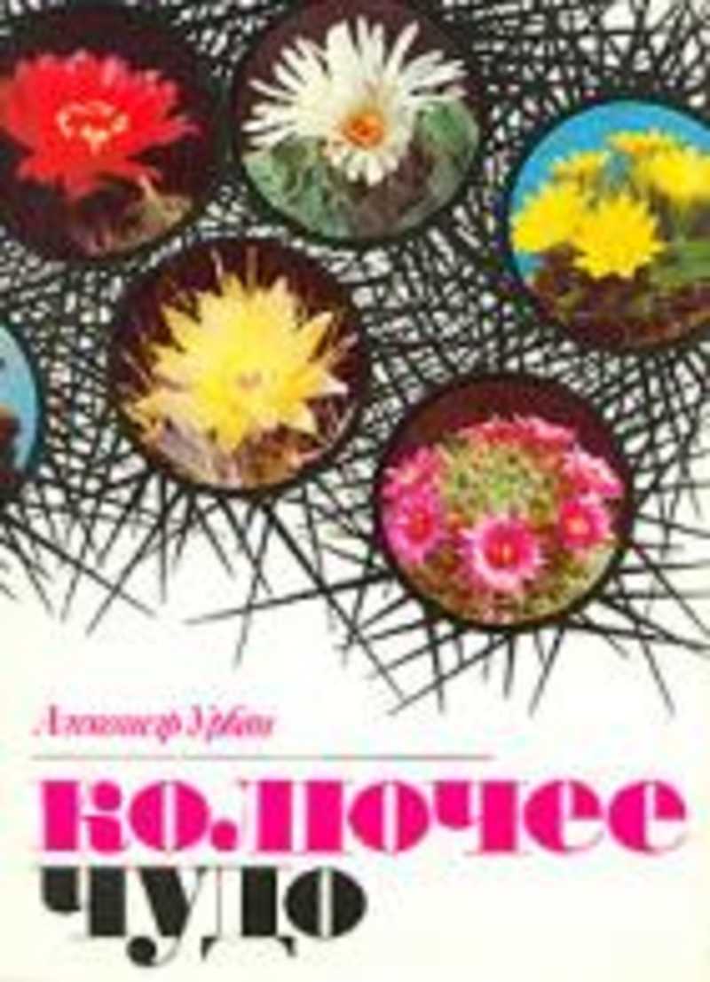 Колючее чудо: Книга о кактусах