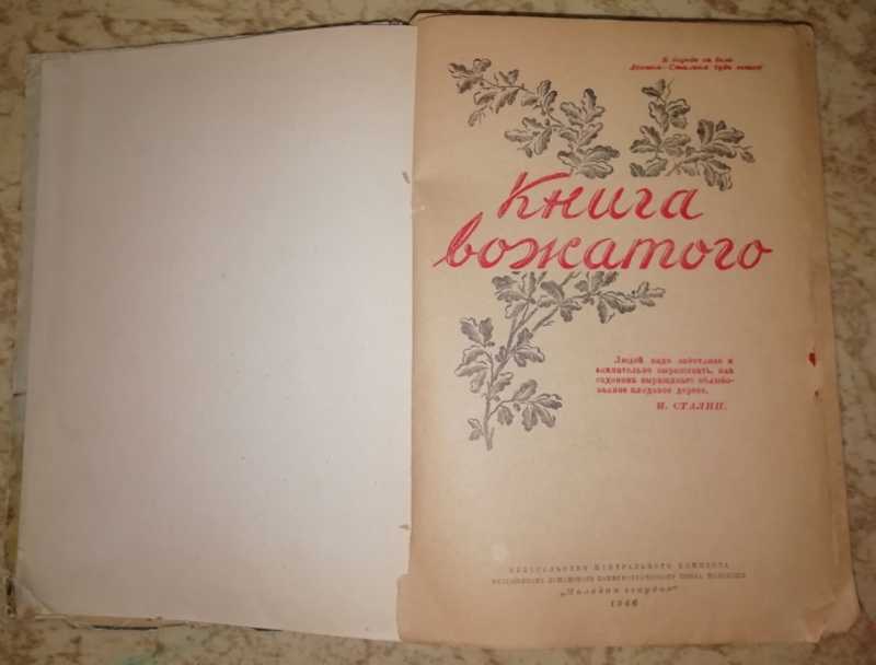 Книга вожатого