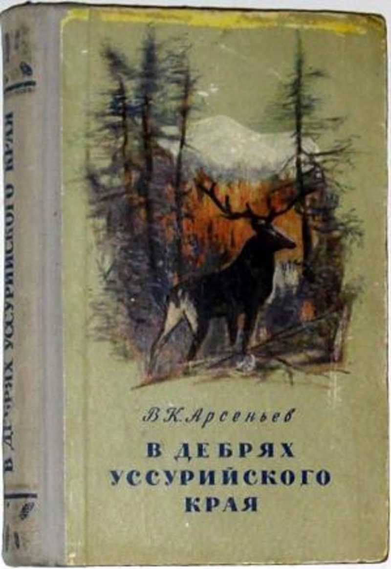 Иванов Дебри Купить Книгу