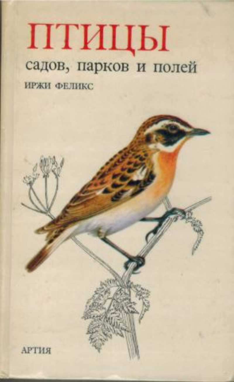 птицы в цветах в живописи. птицы обитающие в саду. птицы летом. книга птица по имени. птицы ссср книга.