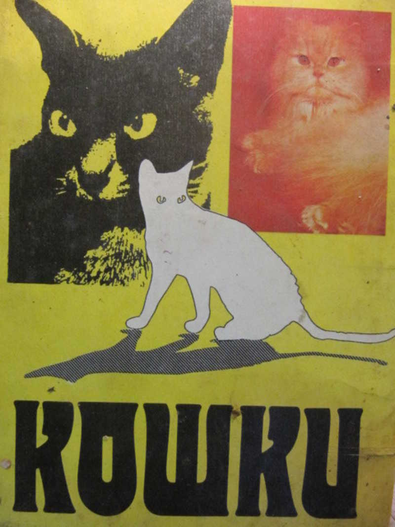 Домашние кошки