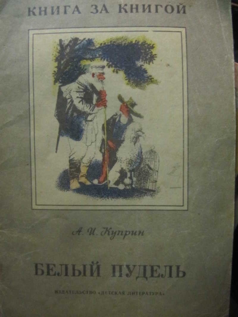 Белый пудель