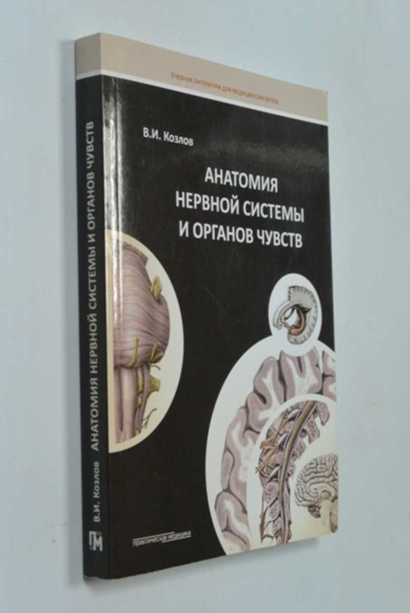 Анатомия нервной системы и органов чувств