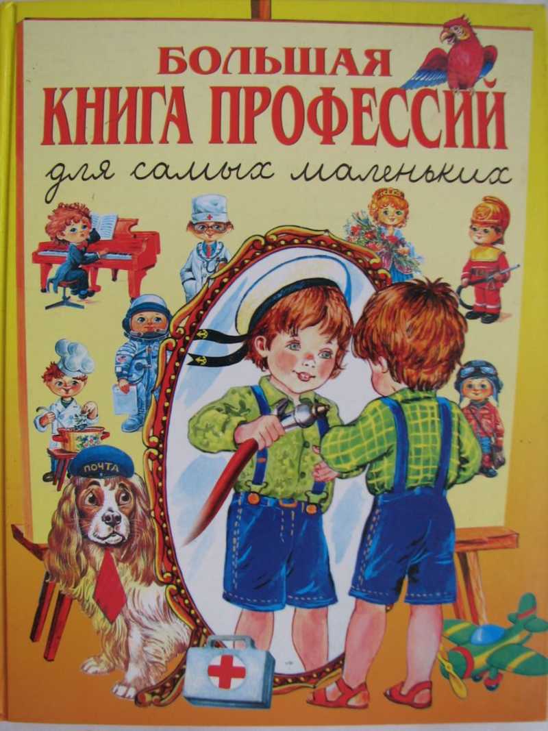 Большая книга профессий проект
